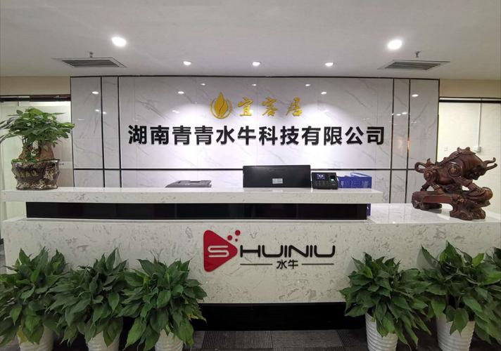 湖南青青水牛科技 信息技术咨询服务的本地化深耕与创新实践